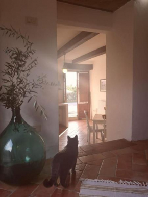 Fantastic Apartment in the Heart of Toscana Castiglion Fiorentino